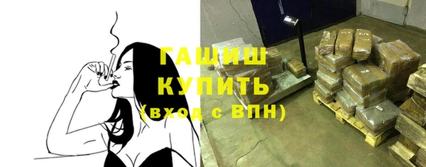 мдпв Краснослободск