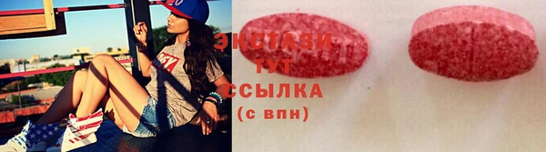 мдпв Краснослободск