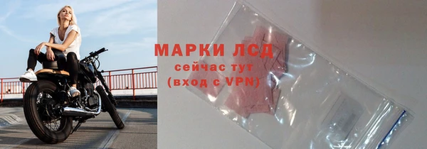 мдпв Краснослободск