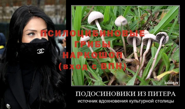 мдпв Краснослободск