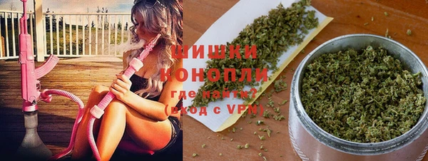 трава Кодинск