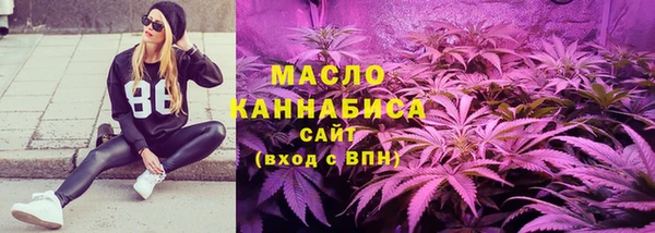 мдпв Краснослободск