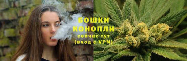 мдпв Краснослободск