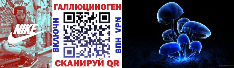 это Telegram  Михайловка  Галлюциногенные грибы Cubensis 